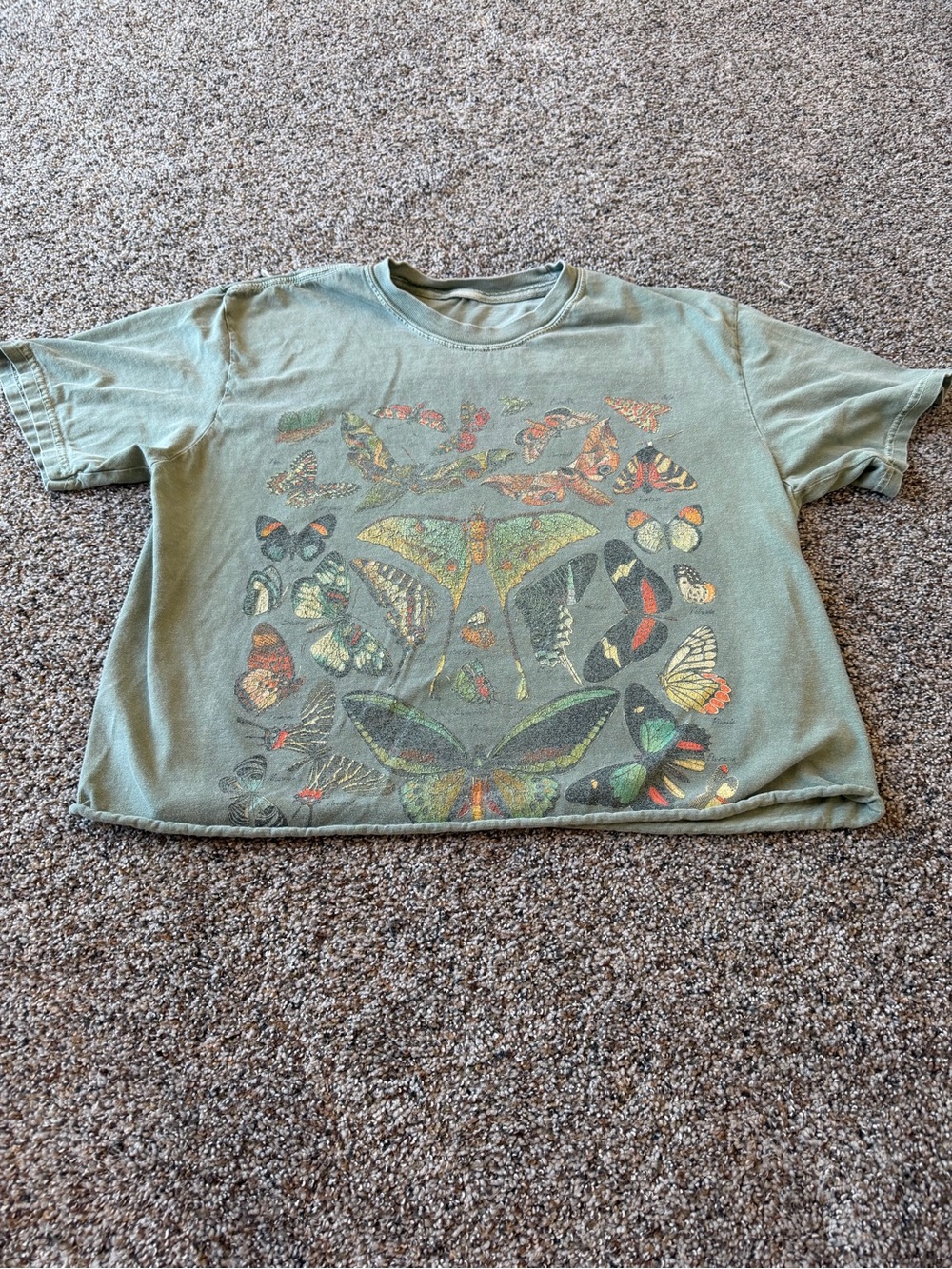Oversized Butterfly Moth Graphic Crop Tee Sage Green Cottagecore Grunge